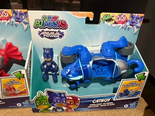 Masks animal power - pj,